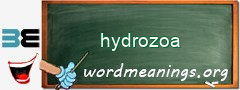 WordMeaning blackboard for hydrozoa